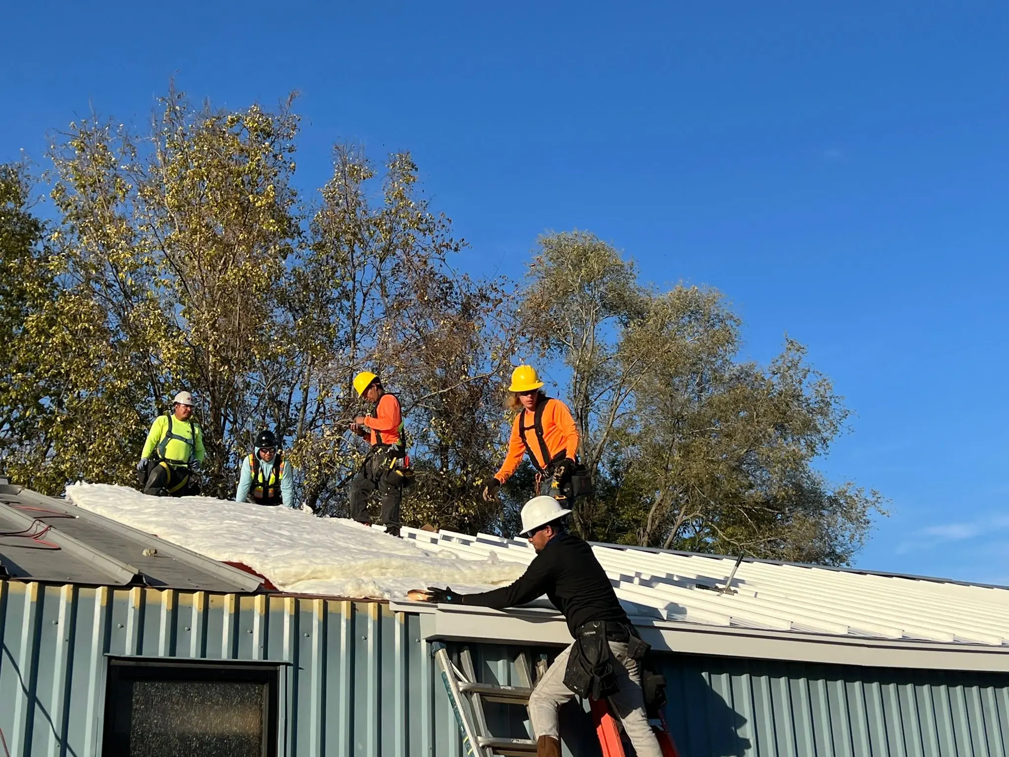 Metal Roofing